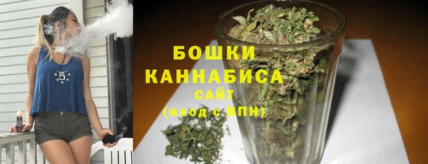 мдпв Пересвет