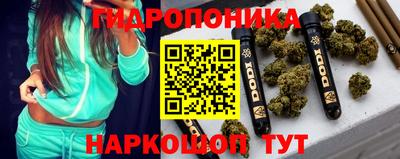 ECSTASY Гусь-Хрустальный