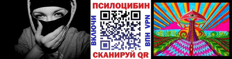 купить наркоту  Минусинск  Галлюциногенные грибы Psilocybine cubensis 