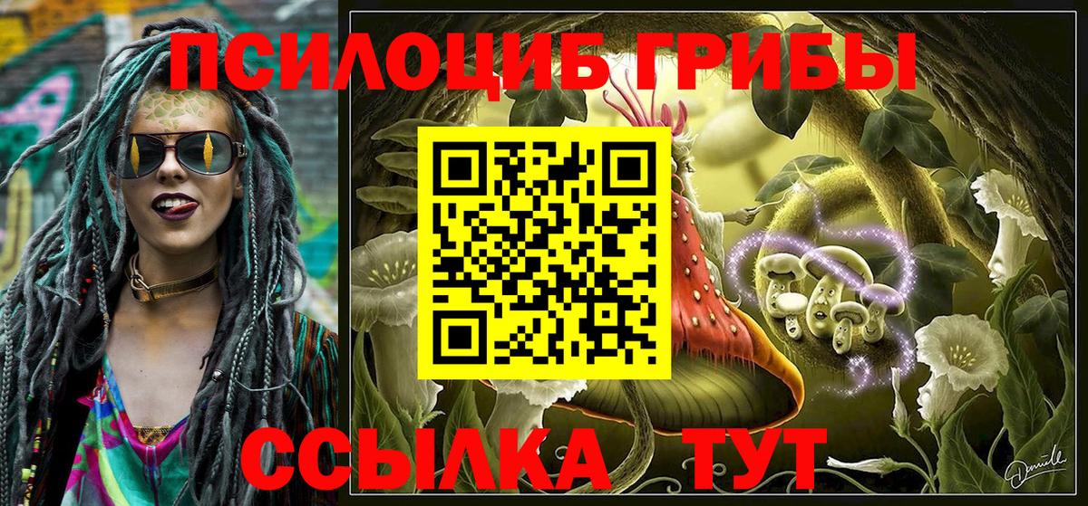 Минусинск  Галлюциногенные грибы Psilocybine cubensis  Вход с VPN  Галлюциногенные грибы Psilocybe 